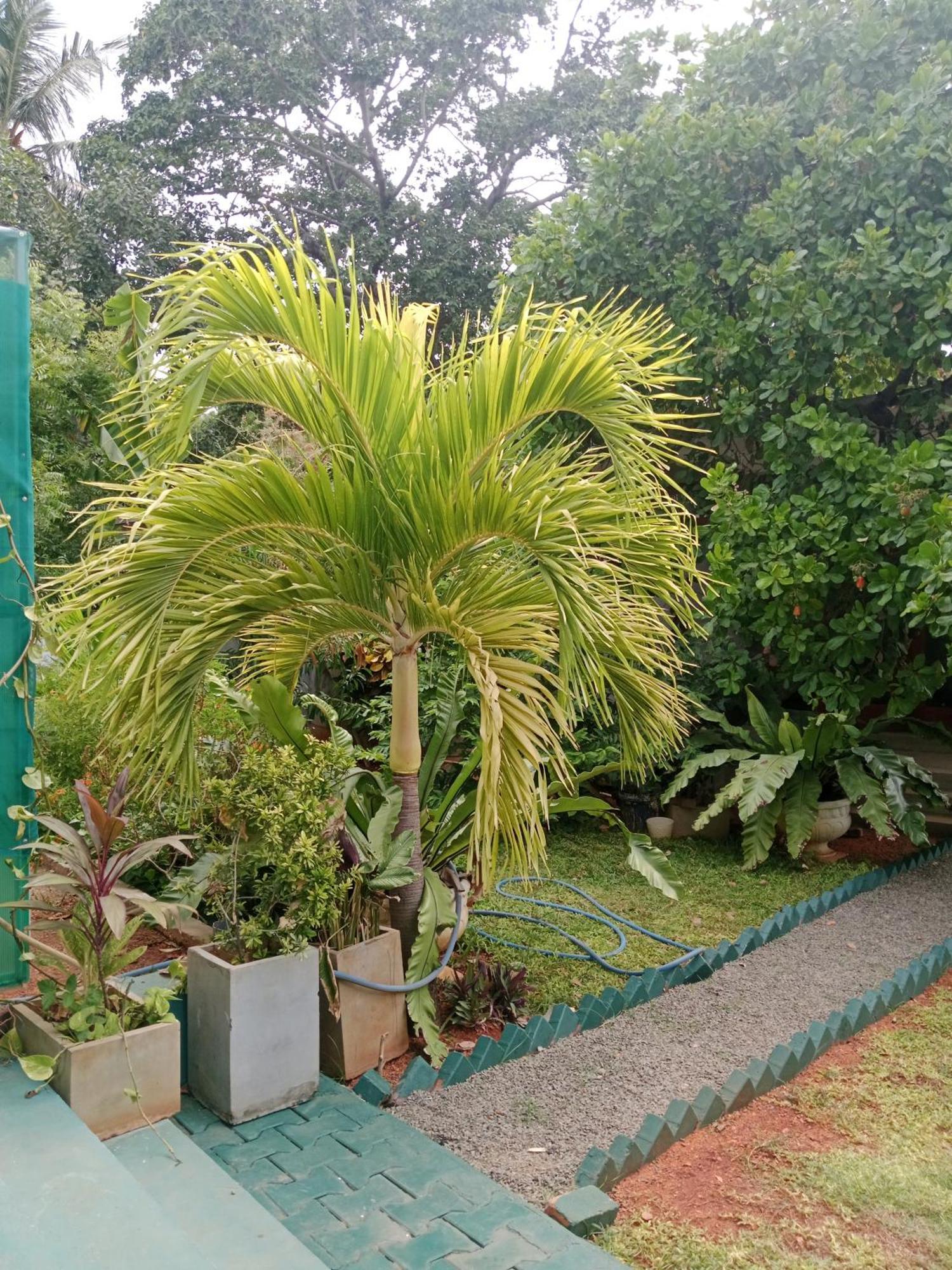 Home Stay Resort Nilaveli Exterior photo